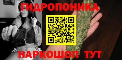 стафф Кинель